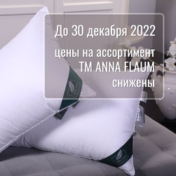 Акция! Снижение цен до 30 декабря 2022 года